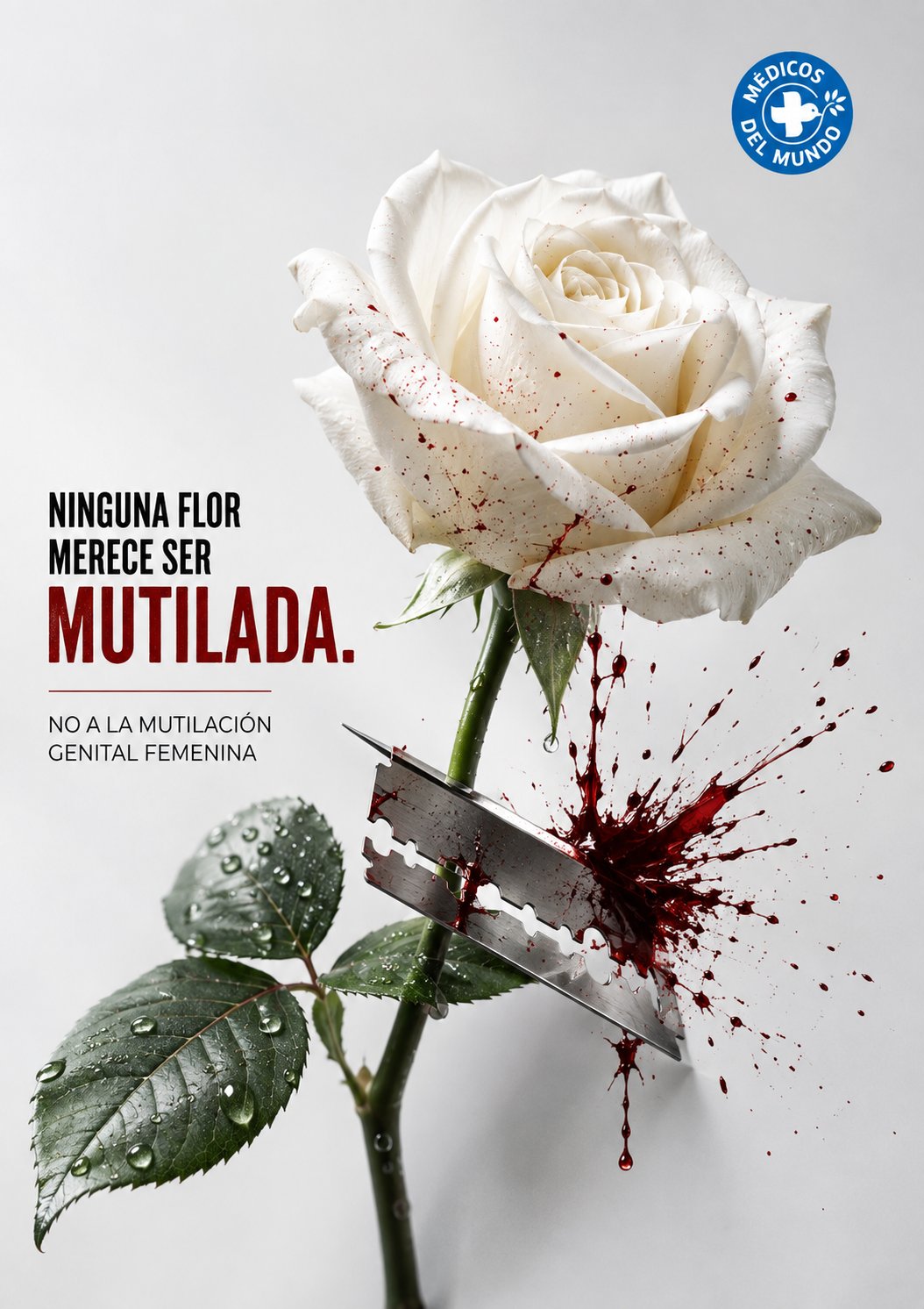 Cartel contra la mutilación genital femenina con una rosa blanca sobre la que salpica la sangre de su tallo seccionado por una cuchilla